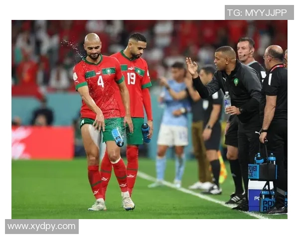 摩洛哥队足球球星在国际赛场上的崛起与团队精神展现